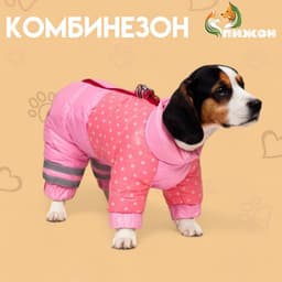 Комбинезон для собак «Горошек», размер 22, ДС 48, ОГ 54, ОШ 38 см, розовый