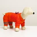Комбинезон для собак «Горошек», размер 20, ДС 36, ОГ 56, ОШ 41 см, рыжий