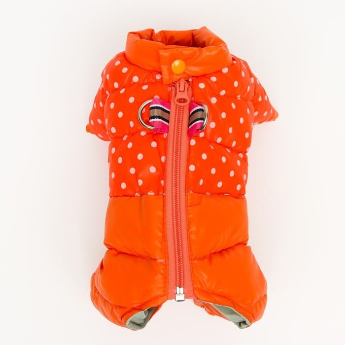 Комбинезон для собак «Горошек», размер 20, ДС 36, ОГ 56, ОШ 41 см, рыжий