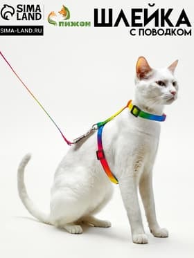 Комплект для кошек «Радуга», ОШ 16.5-27, ОГ 21-35 см, ширина 1 см, поводок 120 см