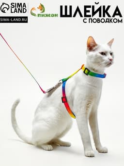Комплект для кошек «Радуга», ОШ 16.5-27, ОГ 21-35 см, ширина 1 см, поводок 120 см