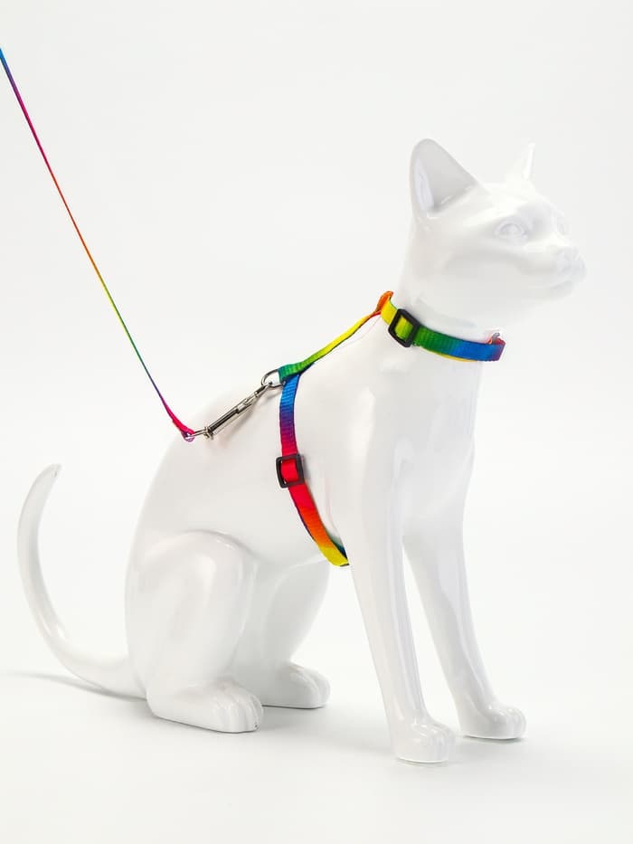 Комплект для кошек «Радуга», ОШ 16.5-27, ОГ 21-35 см, ширина 1 см, поводок 120 см