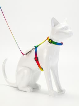 Комплект для кошек «Радуга», ОШ 16.5-27, ОГ 21-35 см, ширина 1 см, поводок 120 см