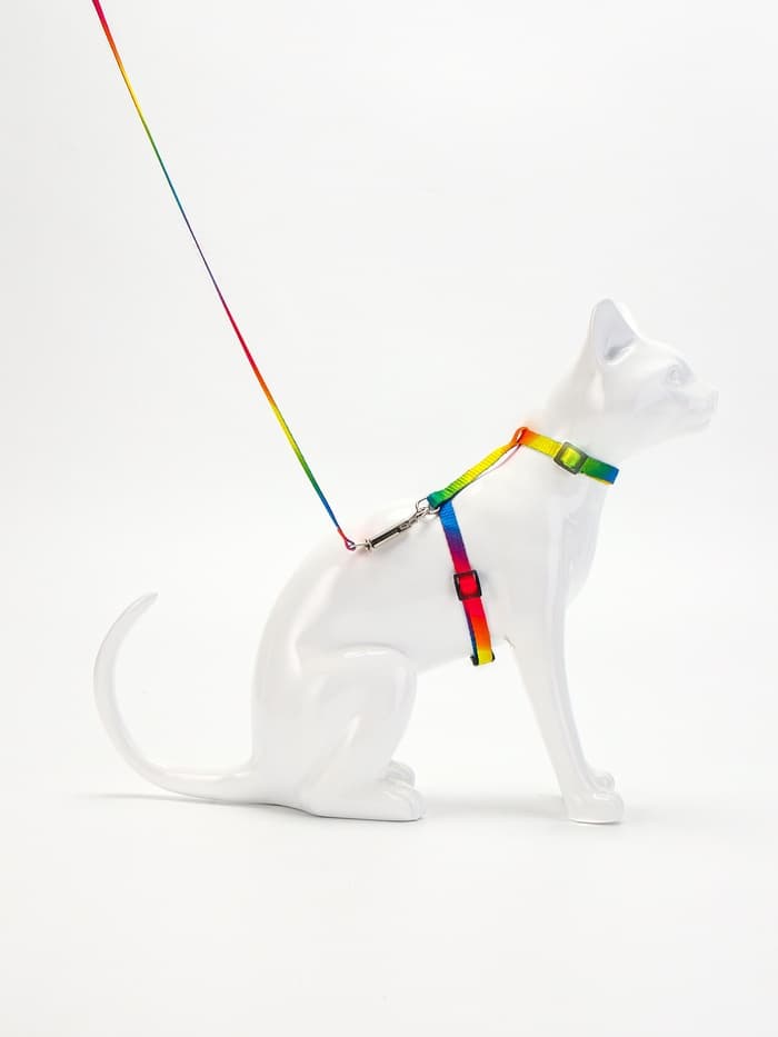 Комплект для кошек «Радуга», ОШ 16.5-27, ОГ 21-35 см, ширина 1 см, поводок 120 см