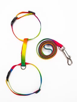 Комплект для кошек «Радуга», ОШ 16.5-27, ОГ 21-35 см, ширина 1 см, поводок 120 см