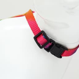 Комплект для кошек «Радуга», ОШ 16.5-27, ОГ 21-35 см, ширина 1 см, поводок 120 см