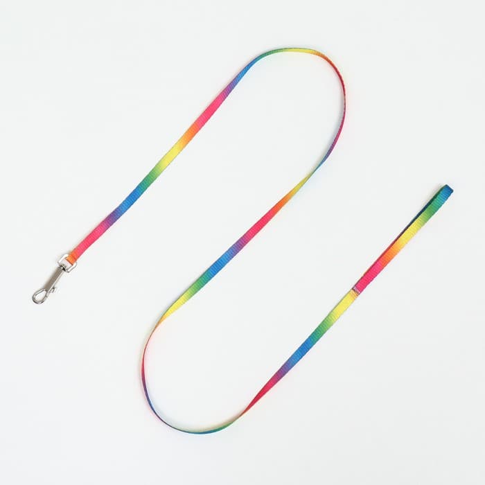 Комплект для кошек «Радуга», ОШ 16.5-27, ОГ 21-35 см, ширина 1 см, поводок 120 см