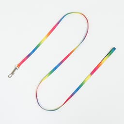 Комплект для кошек «Радуга», ОШ 16.5-27, ОГ 21-35 см, ширина 1 см, поводок 120 см