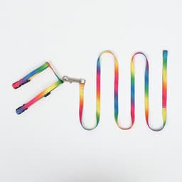 Комплект для кошек «Радуга», ОШ 16.5-27, ОГ 21-35 см, ширина 1 см, поводок 120 см