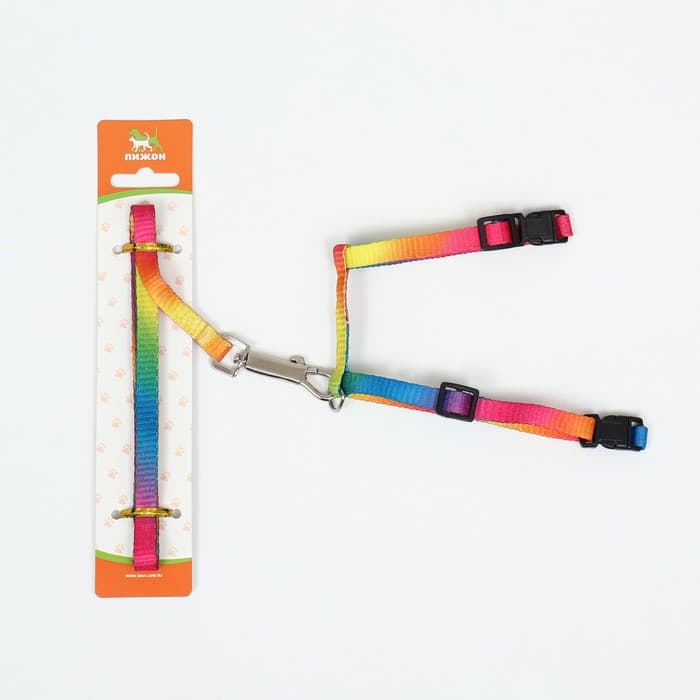 Комплект для кошек «Радуга», ОШ 16.5-27, ОГ 21-35 см, ширина 1 см, поводок 120 см