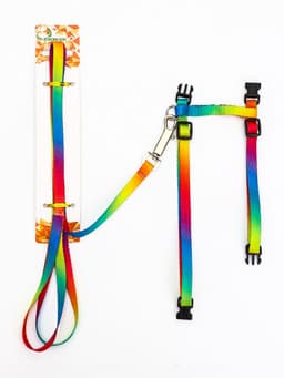 Комплект для кошек «Радуга», ОШ 16.5-27, ОГ 21-35 см, ширина 1 см, поводок 120 см