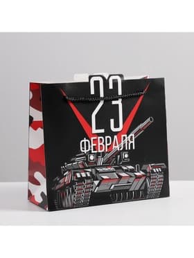 Пакет подарочный «23 февраля», упаковка, 25×26×10 см