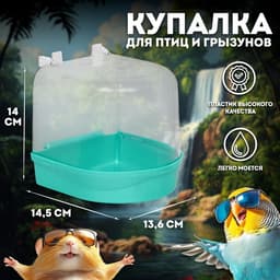 Купалка для птиц, 145×136×140 мм, пластик, светло-зелёный перламутр