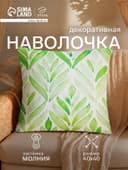 Наволочка декоративная «Этель. Цветы», 40×40 см, велюр