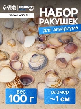 Набор ракушек Rose petal tellin, 100 г