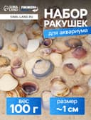 Набор ракушек Rose petal tellin, 100 г