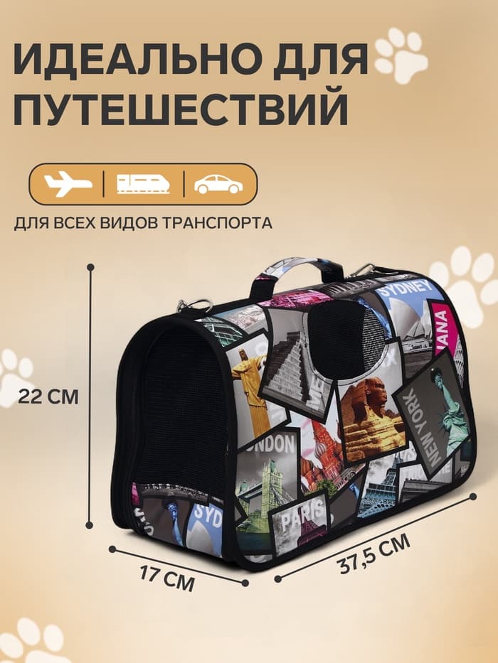 Сумка - переноска для животных «Путешественник», размер S, 37.5×17×22 см