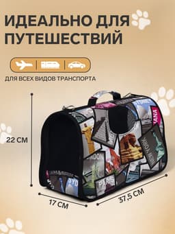 Сумка - переноска для животных «Путешественник», размер S, 37.5×17×22 см