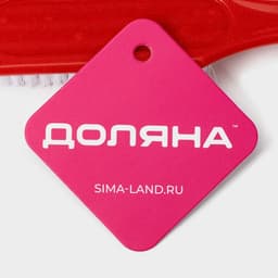 Щётка для овощей и фруктов с ручкой Доляна, 17×3.3×2 см, МИКС