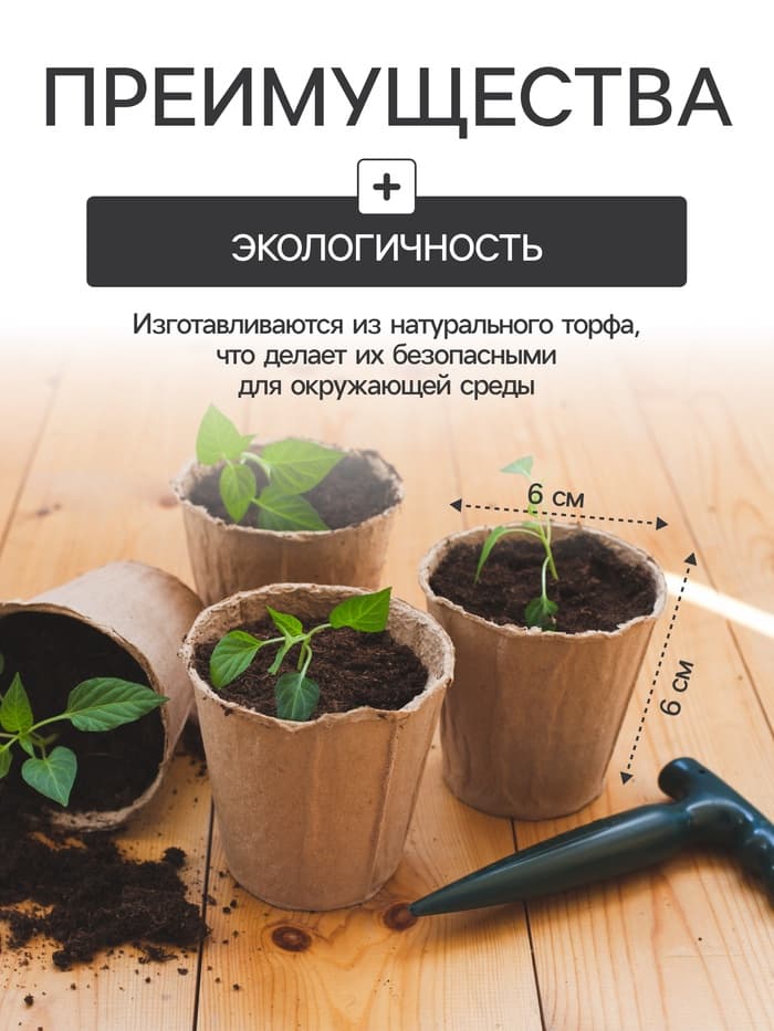 Набор для рассады: торфяной горшок 6×6 см, кассета на 40 ячеек, Greengo