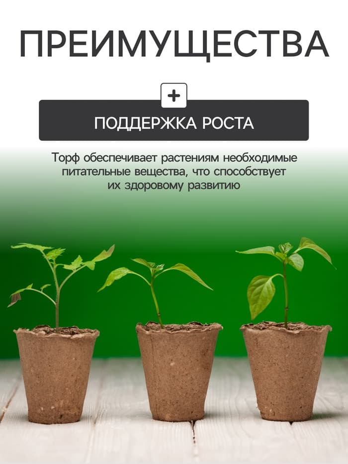 Набор для рассады: торфяной горшок 6×6 см, кассета на 40 ячеек, Greengo