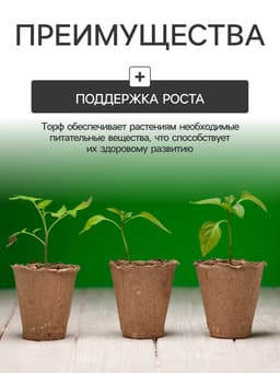 Набор для рассады: торфяной горшок 6×6 см, кассета на 40 ячеек, Greengo
