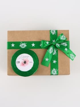 Лента атласная «23 февраля», 2.5 см × 18 (± 1) м, зелёная