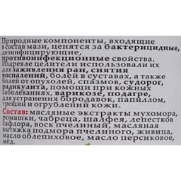 Мазь монастырская Живичная с мухомором, Солох-Аул, 100 мл