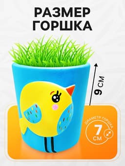 Набор для опытов, для детей «Выращиваем травку», растение в горшочке «Птичка»