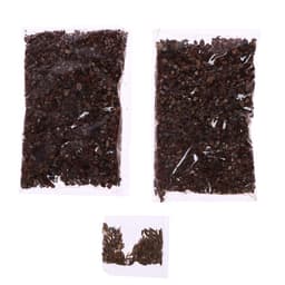 Набор для опытов, для детей «Выращиваем травку», растение в горшочке «Птичка»