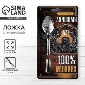 Ложка чайная с гравировкой «100% мужику», 14×3 см