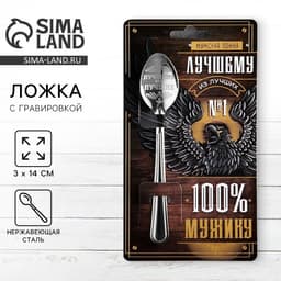 Ложка чайная с гравировкой «100% мужику», 14×3 см