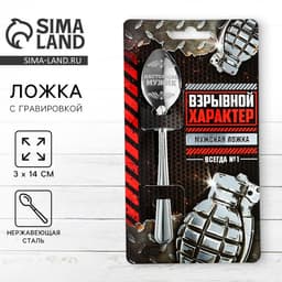Ложка чайная с гравировкой «Взрывной характер», 14×3 см