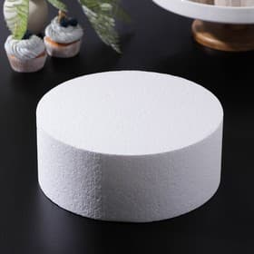 Фальш ярус для торта круглый, d=25 см, h=10 см, пенопласт, белый