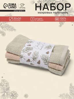 Полотенца махровые «Этель» Wonderland, 30×30 см - 3 шт., 340 г/м², 100% хлопок