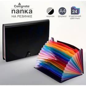 Папка - органайзер для хранения документов, А4, 24 отделения, 800 мкм, Calligrata, на резинке, черный