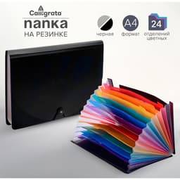 Папка - органайзер для хранения документов, А4, 24 отделения, 800 мкм, Calligrata, на резинке, черный