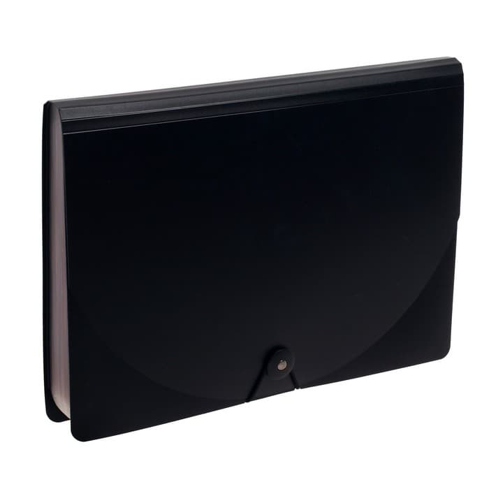 Папка - органайзер для хранения документов, А4, 24 отделения, 800 мкм, Calligrata, на резинке, черный