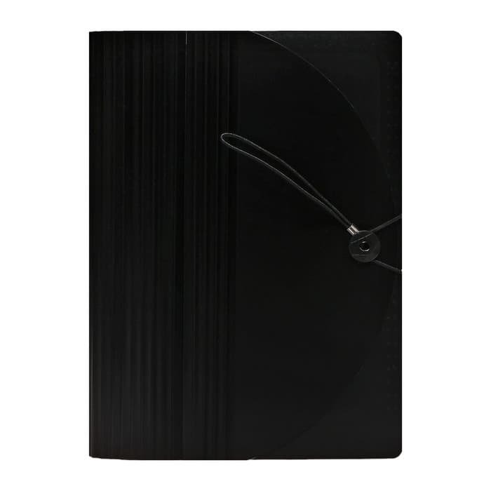 Папка - органайзер для хранения документов, А4, 24 отделения, 800 мкм, Calligrata, на резинке, черный