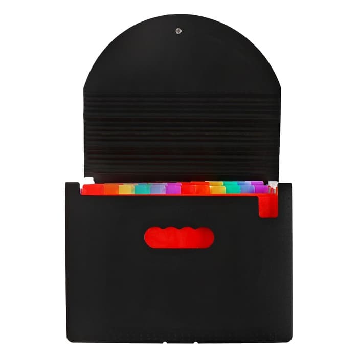 Папка - органайзер для хранения документов, А4, 24 отделения, 800 мкм, Calligrata, на резинке, черный