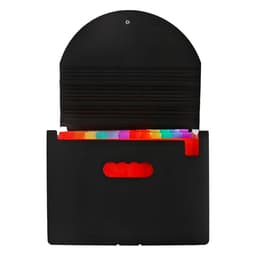 Папка - органайзер для хранения документов, А4, 24 отделения, 800 мкм, Calligrata, на резинке, черный