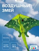 Воздушный змей Funny toys «Дракон», МИКС