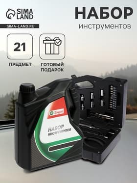 Набор инструментов ТУНДРА, подарочный пластиковый кейс «Канистра», 21 предмет