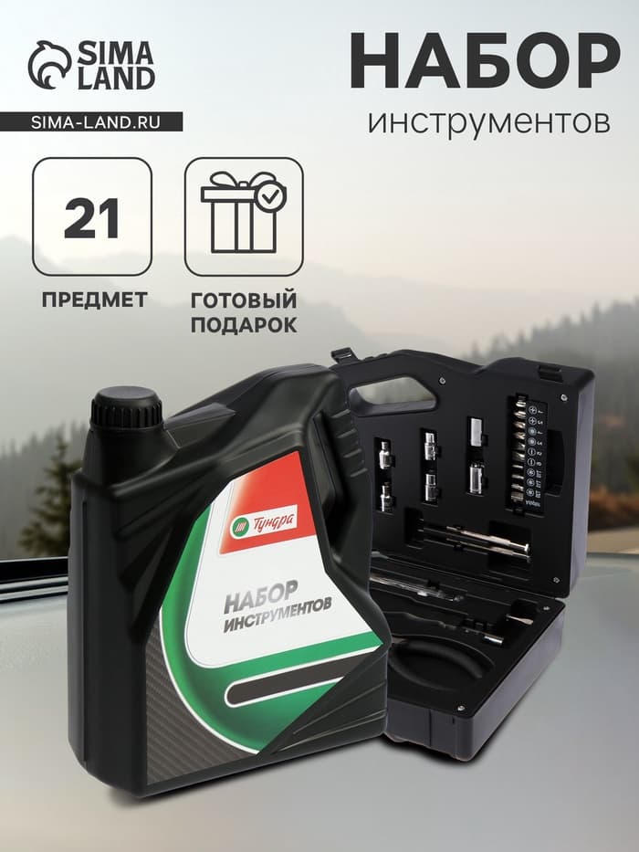 Набор инструментов ТУНДРА, подарочный пластиковый кейс «Канистра», 21 предмет