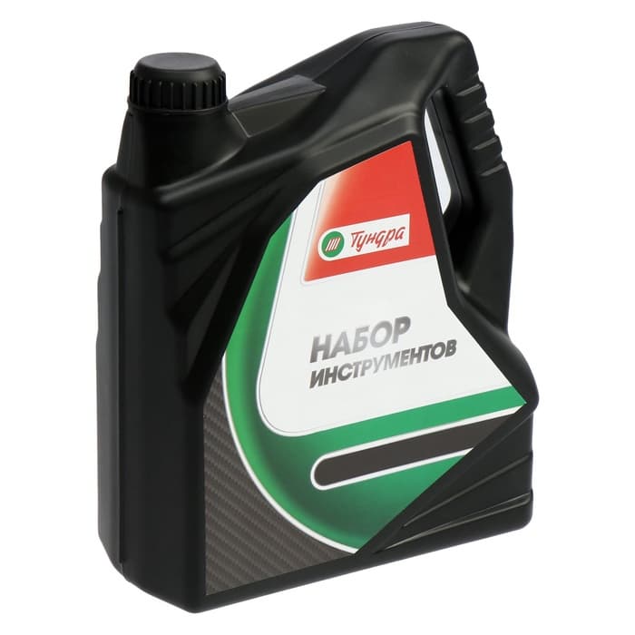 Набор инструментов ТУНДРА, подарочный пластиковый кейс «Канистра», 21 предмет