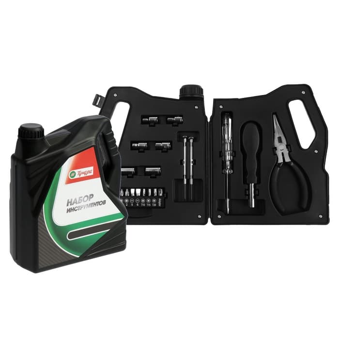 Набор инструментов ТУНДРА, подарочный пластиковый кейс «Канистра», 21 предмет