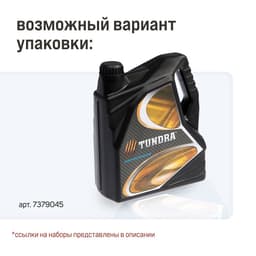 Набор инструментов ТУНДРА, подарочный пластиковый кейс «Канистра», 21 предмет