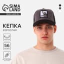 Кепка мужская с сеткой DIGNITY, чёрная, р-р 56