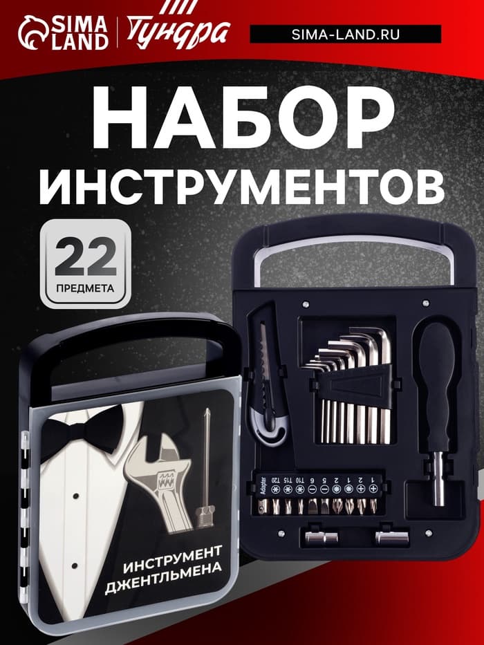 Набор инструментов ТУНДРА, подарочный пластиковый кейс, 22 предмета