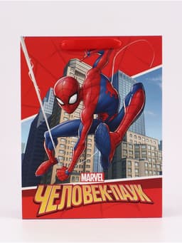 Пакет подарочный «С днём рождения!», 31×40×11.5 см